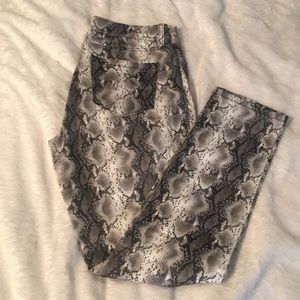 Caché Snake Print Skinny’s